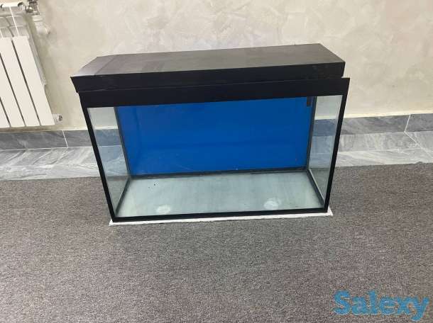 Akvarium, фотография 4