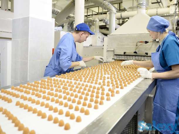 Рабочие на кондитерскую фабрику в Германию, фотография 1