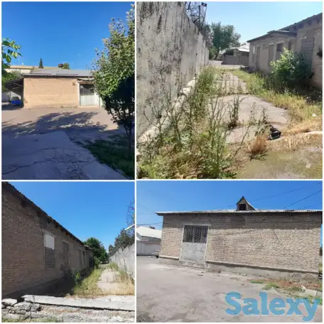 Ishxona sotiladi, Домбрабод, фотография 5