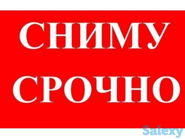 Сниму недвижимость в городе квартира 1- 5 комн и Евро дома, фотография 1