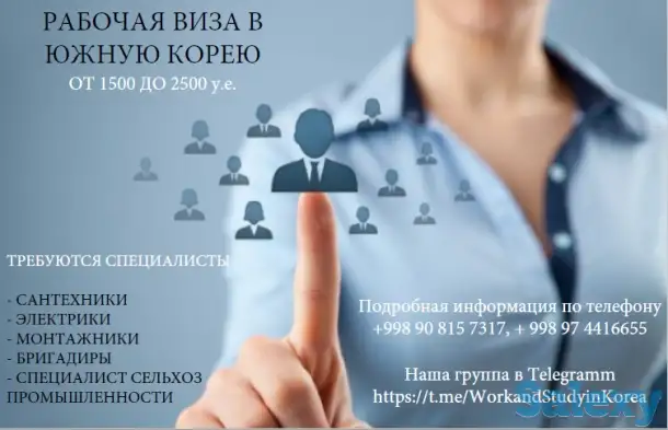 Помощь в получение рабочей и учебной визы в Южную Корею, фотография 1