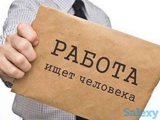 Требуются преподаватели, фотография 1