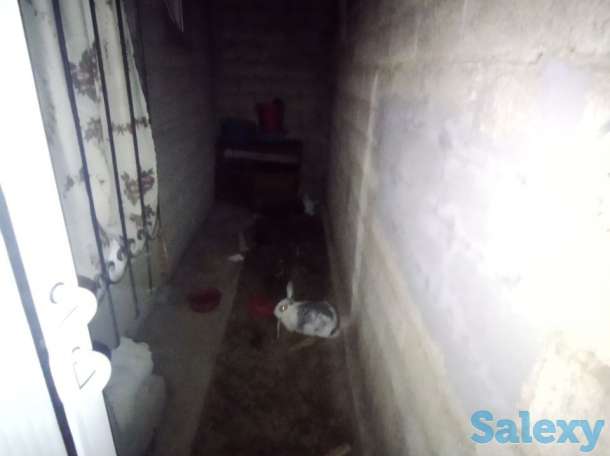 Zudlik bilan sotiladi kvartira Karasuv 6 bir honali, фотография 2