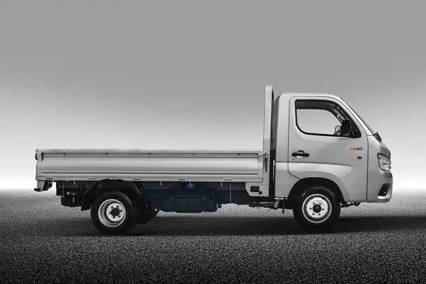 FATON  Gratour TM300 2 SEATS    2 местный, фотография 7