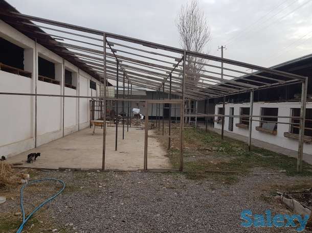 Обмен дом г.Ташкент Бектемирский р.н Куйлюк 