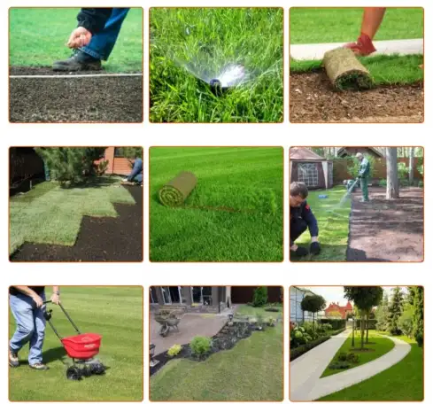 Комплексный уход за газоном и Хвойными, фотография 4