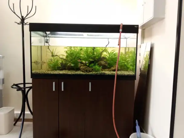 Чистка и обслуживание пресноводных и морских  аквариумов, фотография 3