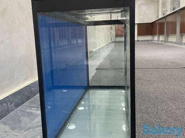 Akvarium, фотография 2