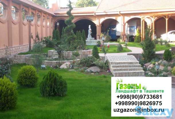 Газоны Мы предлагаем Вам качественный посев газонной травы таких известных производителей как Trifolium DLF, Canada Gree, фотография 2