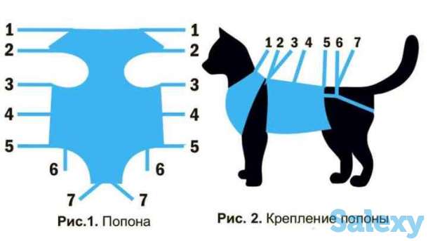 Бандаж для кошек (попона), фотография 4