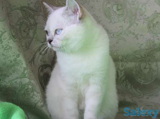 Нежное облако, фотография 4