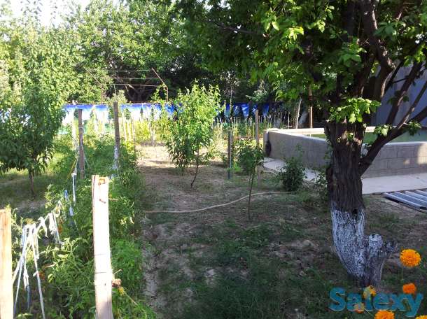 Продаеться дача (Джумма Базар), фотография 2