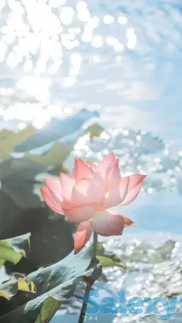 Массаж профиссиональный, фотография 1