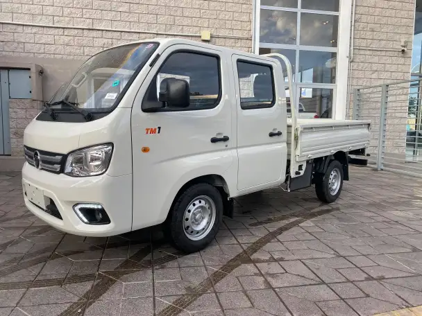 FATON  Gratour TM300 5 SEATS    5 местный, фотография 1