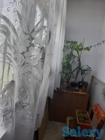 Продам большую 2-х ком. квартиру в Чирчике 10-м/р, фотография 5