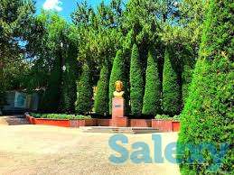 путёвкм на отдых, фотография 10