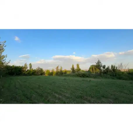 Бывший пионерский лагерь, Краснагорск, фотография 7