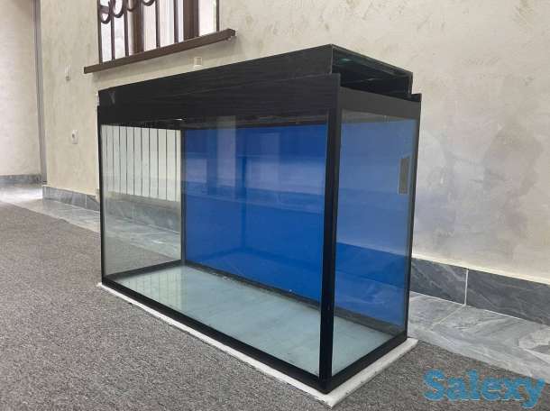 Akvarium, фотография 6