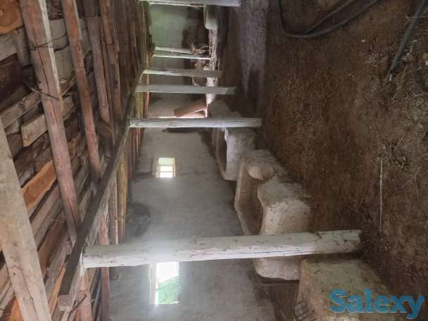 Продажа отличного дома, Населённый пункт нурли замин, фотография 9