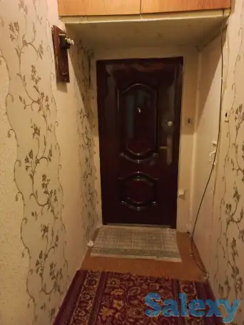 сдаю  квартиру аренду, северо восток, фотография 1