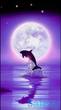 Изобразительное искусство, фотография 3