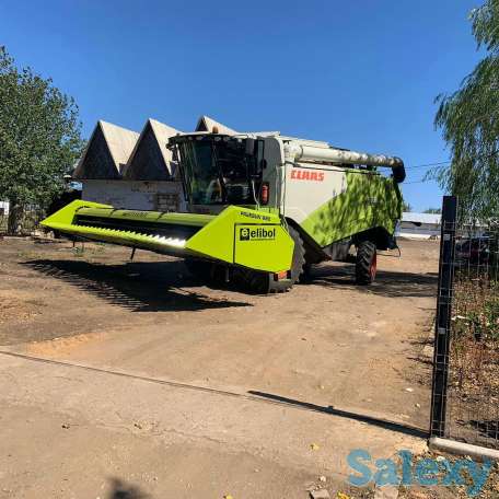 Жатка для уборки подсолнечника Elibol Freesun 550 на комбайн, фотография 9