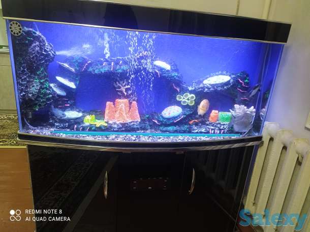 чистка аквариум по доступным ценам, фотография 3