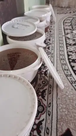 100 tabiiy vodiy asali optom narxda!, фотография 4