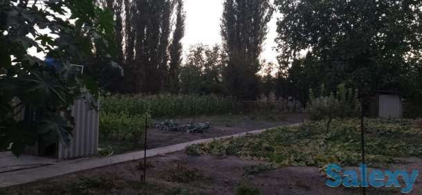 Участок,дом, Таш.обл, фотография 10