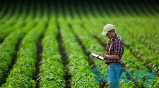 Заместитель Руководителя СХУ, фотография 1