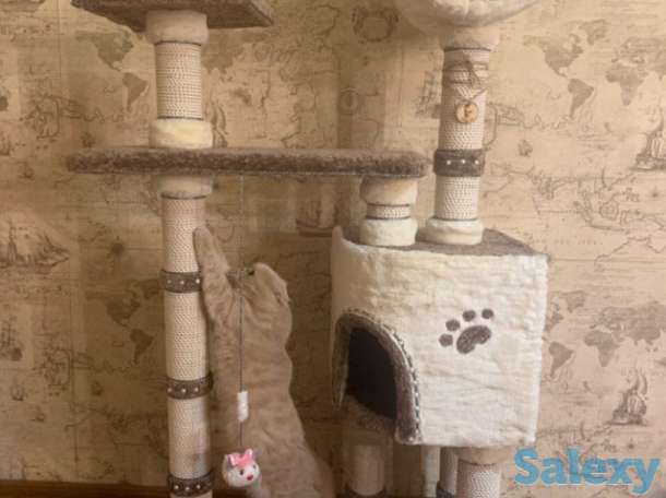 Когтеточка для кошки. Игровой комплекс для кошки. Дом для кошки., фотография 1