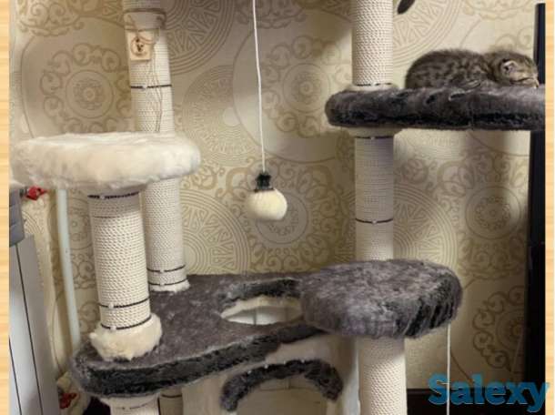 Когтеточка для кошки. Игровой комплекс для кошки. Дом для кошки., фотография 8