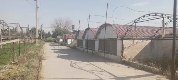 10 га Новый Ташкент, фотография 6