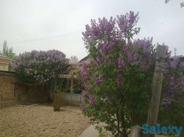 Продается дом., Ташкентская Самаркандская 1