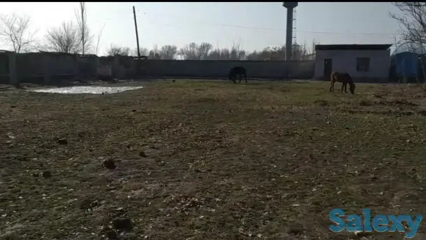 Сирдаре сувни буйида ер сотилади, Сирдарё вилояти Сирдарё тумани Шоликор МСГ, ул. Донгдор, дом 9, фотография 2