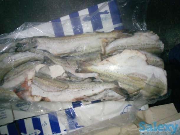 Замороженная рыба оптом минтай, горбуша, навага, сельдь ДЕШЕВО, фотография 6