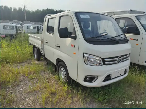 FATON  Gratour TM300 5 SEATS    5 местный, фотография 6