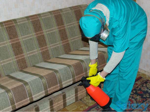 Дезинфекция со скидками.20%, фотография 3