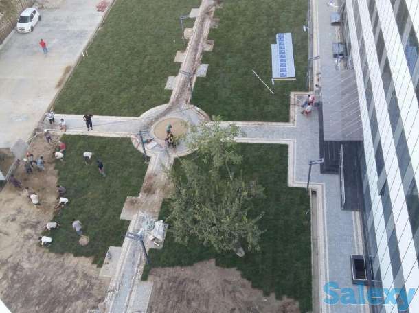 Архитектор, фотография 1