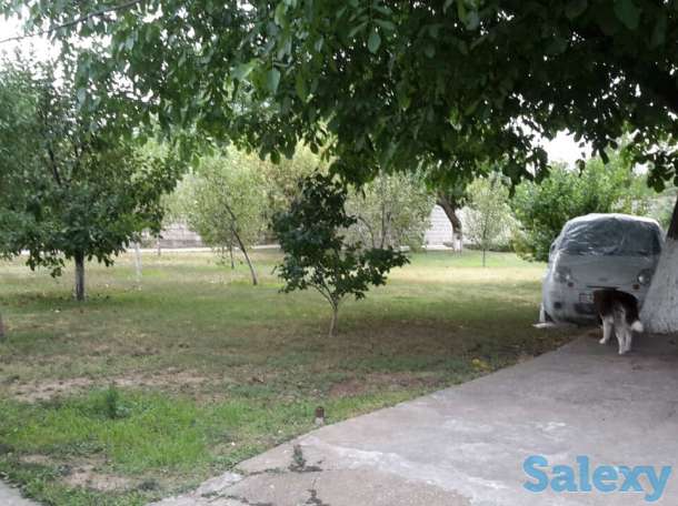 продаю свой дом, район,посёлок салар, фотография 3