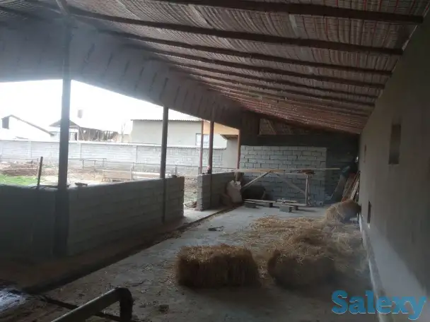 Продажа Ферма Дача, ТашОбл Юкори Чирчик Янги Бозор дахаси, фотография 9