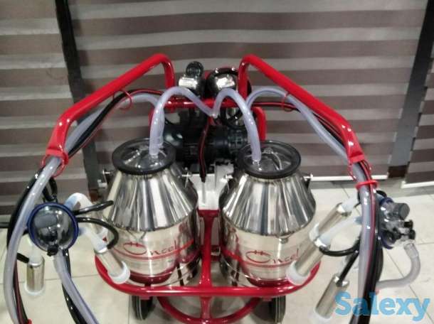 Доильный Аппарат для коров из Турции, фотография 3