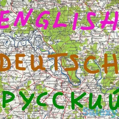 Английский. Немецкий. Русский. Индивидуально online  и offline. Подготовка к IELTS. TOEFL DTM DSH  DAF и др., фотография 1