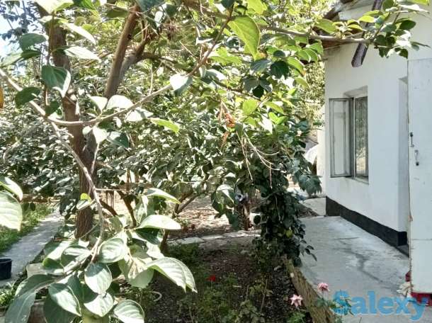 Срочно! Продается 2-х этажный дом в центре города Карши. ТОРГ!, фотография 14