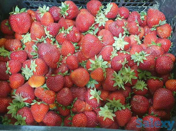 Замороженные овощи и фрукты, фотография 1