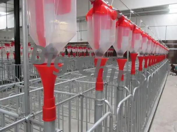 Оборудование Big Ducthman для свинокомплекса по выращиванию свиней из Китайского производителя., фотография 8