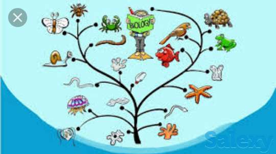 Обучение биологии, фотография 1