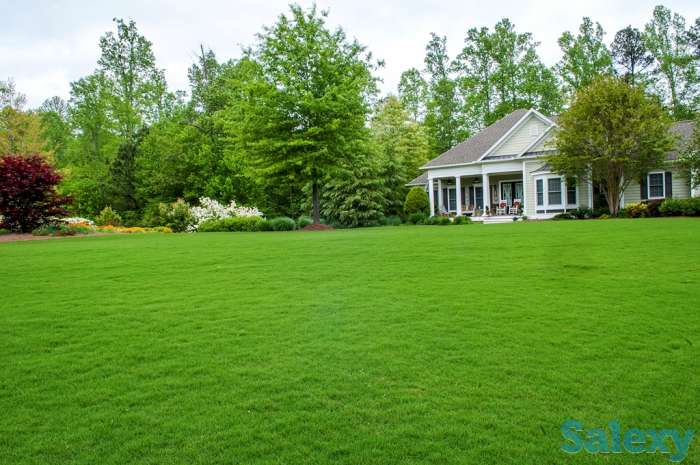 Дизайн экстерьера ландшафтный дизайн, беседки из массива летние кухни, фотография 5