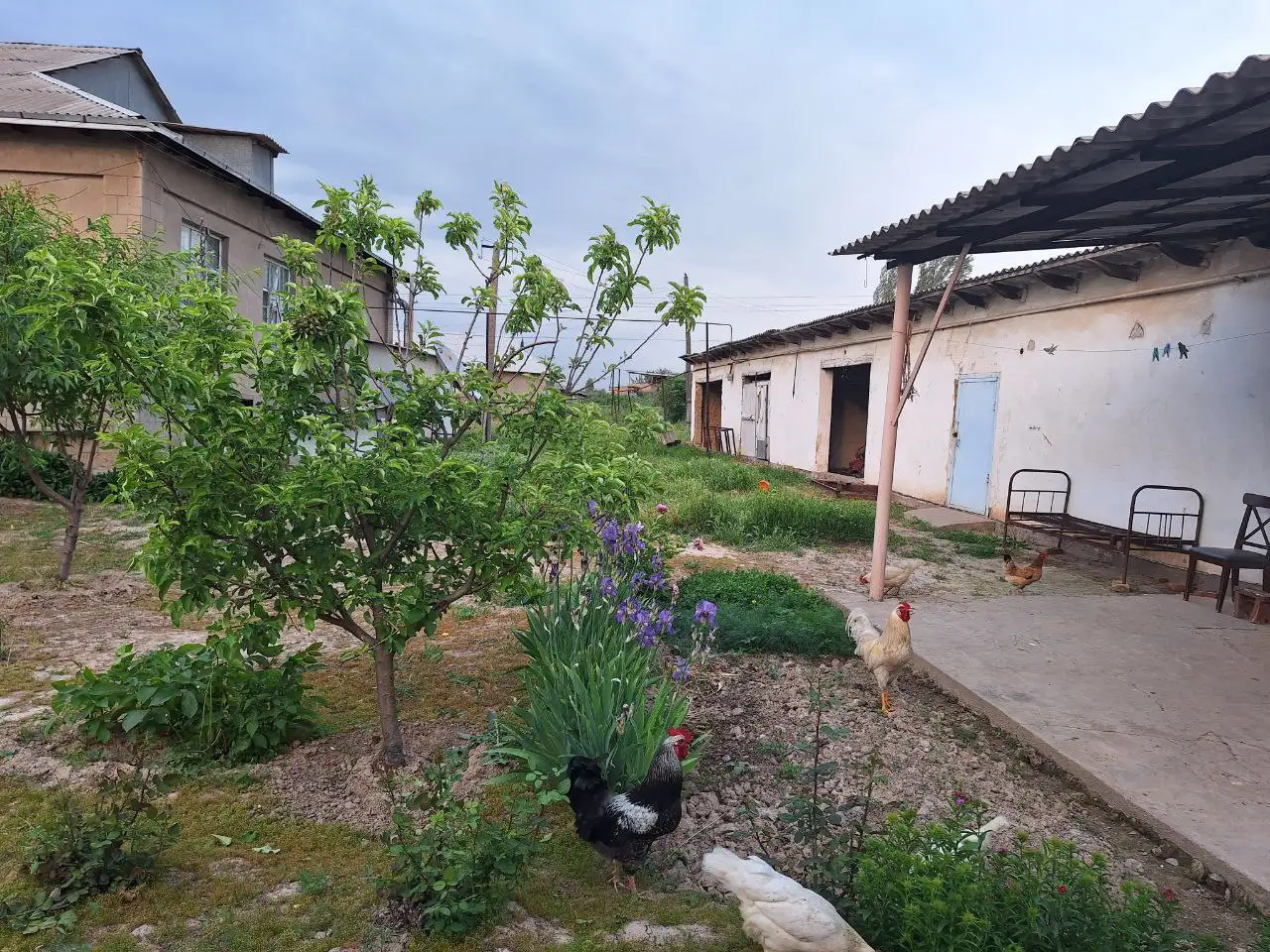 Срочно! Продается участок. Uchastkauy sotiladi, фотография 8