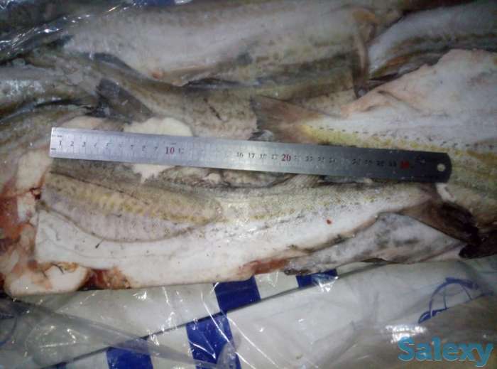Замороженная рыба оптом минтай, горбуша, навага, сельдь ДЕШЕВО, фотография 4